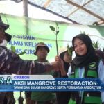 Aksi Mangrove Restoraction
