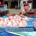 Harga Daging Ayam Potong Capai 34 Ribu Rupiah Perkilo