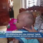 Cek Kesehatan Bayi Usai Disengat Tawon