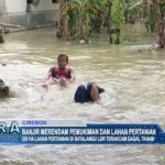 Banjir Merendam Pemukiman dan Lahan Pertanian