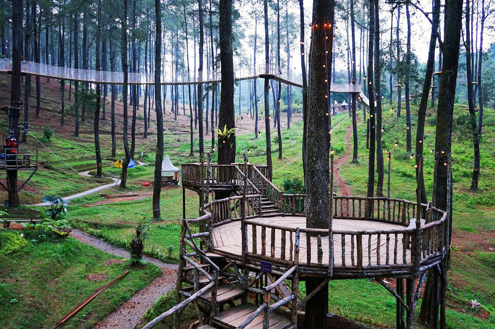 Orchid Forest Cikole, rekomendasi tempat wisata alam yang wajib anda kunjungi ketika anda berada di Bandung