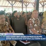 Nakes Honorer Diminta Maksimalkan Proses Seleksi PPPK