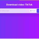 Tampilan web SSSTikTok untuk download konten TikTok tanpa watermark