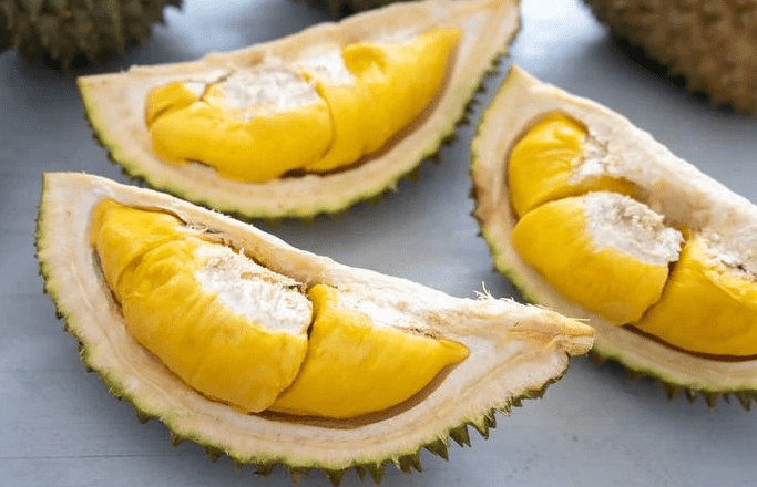 Durian Kaligesing Purworejo