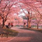Ini Nih! 3 Taman Wisata Cianjur, Ada yang Seperti di Jepang!