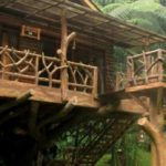 Cari Villa Dekat Taman Safari Bogor? Ini Loh Daftarnya