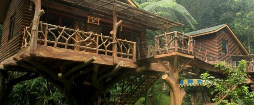 Cari Villa Dekat Taman Safari Bogor? Ini Loh Daftarnya