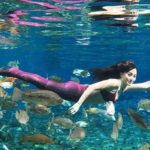 Yuk Beraktivitas Bawah Air di 3 Wisata Umbul Jawa Tengah, Bisa Foto Seperti Mermaid Loh!