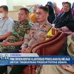PNM Cirebon Bentuk Klasterisasi Pengolahan Biji Melinjo