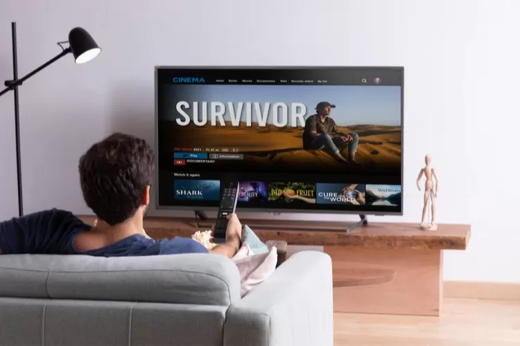 Gak Perlu Beli TV Baru, Ini Alat Smart TV yang Bisa Ubah TV Kamu Jadi Pintar