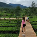 5 Destinasi 'Wisata Kebun Teh Bogor' Berikut Ini Bakal Bikin Kamu Langsung Cepet-Cepet Mau Packing