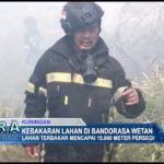 Kebakaran Lahan Di Bandorasa Wetan
