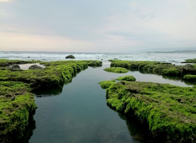 Foto: Pantai Manalusu Cigadog bak hamparan batu giok/Blok Spot Garut Homestay