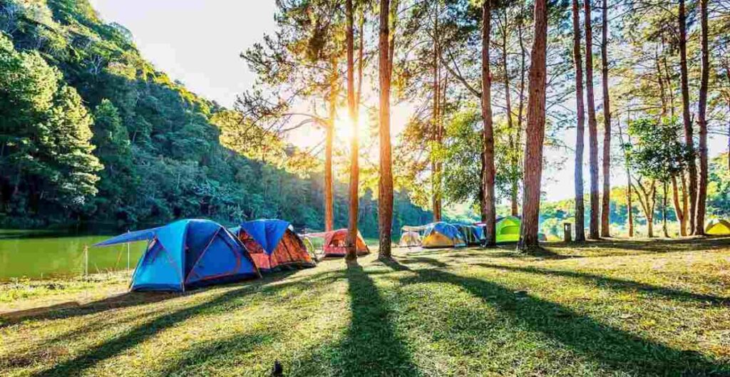 Masalah Hidupmu Pelik? Lupakan Sejenak dengan Camping di Bogor, Ini 5 Rekomendasi Tempatnya