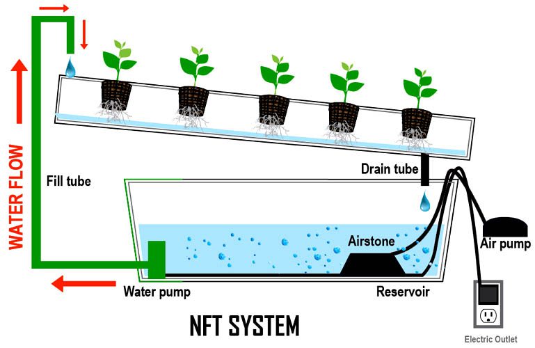 Begini Cara Mudah Menerapkan Sistem Hidroponik NFT