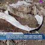 Kondisi Pantai Pesisir Kota Cirebon Kumuh Penuh Sampah