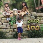 Liburan Sekolah Ajang Untuk Rekreasi Bersama Keluarga, Tempat Wisata Bogor Mini Zoo Taman Edukasi Bisa Jadikan Referensi.