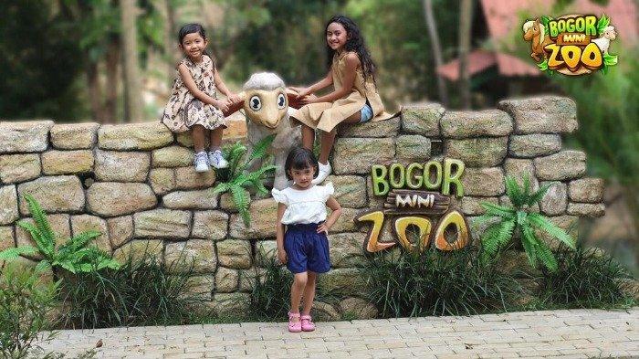 Liburan Sekolah Ajang Untuk Rekreasi Bersama Keluarga, Tempat Wisata Bogor Mini Zoo Taman Edukasi Bisa Jadikan Referensi.