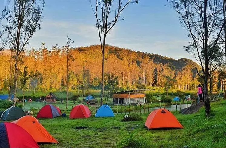 5 Tempat Wisata Bandung Camping yang Patut Dikunjungi untuk Pengalaman Berkemah yang Seru