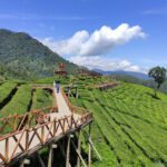 Nikmati Pemandangan Indah Sambil Melakukan Aktivitas Seru di Tempat Wisata Bandung Selatan 2022