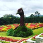 Tempat Wisata Bogor Kota Bunga, Destinasi Wisata yang Menawarkan Keindahan Alam yang Menakjubkan