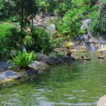 Menjelajahi Keindahan Alam dan Budaya di Tempat Wisata Subang 2018