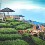 Pangalengan Wayang Windu Pesona Wisata Alam di Kawasan Pegunungan Jawa Barat