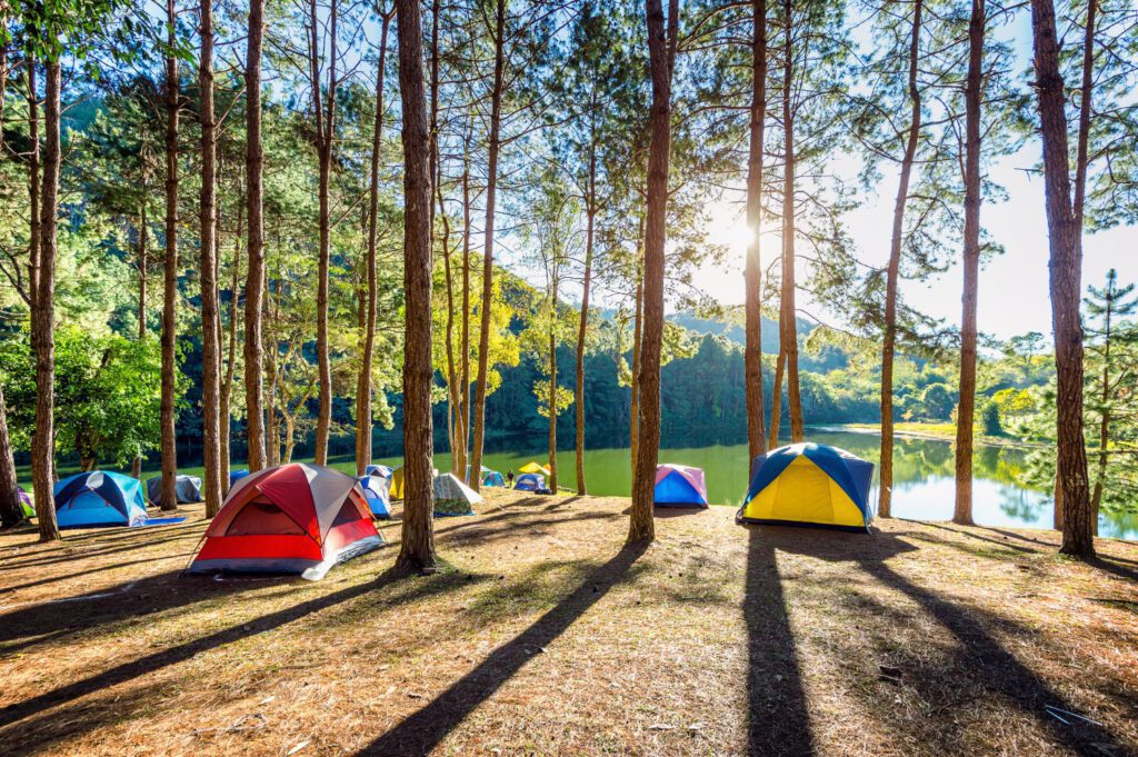 Wisata Camping Pangalengan/Hotelier