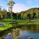 Menikmati Keindahan Alam Bandung dengan 7 Tempat Wisata Camping Murah
