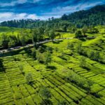 Pangalengan, Surga Tersembunyi di Bandung: 6 Rekomendasi Destinasi Wisata yang Wajib Dikunjungi Saat Liburan