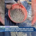 Tambak Garam Tercemar Debu Batu Bara