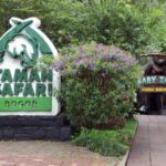 Taman Safari Bogor Lagi Ada Promo Diskon Nih Jelang Hari Pahlawan, Cari Tahu Info Lengkapnya Disini