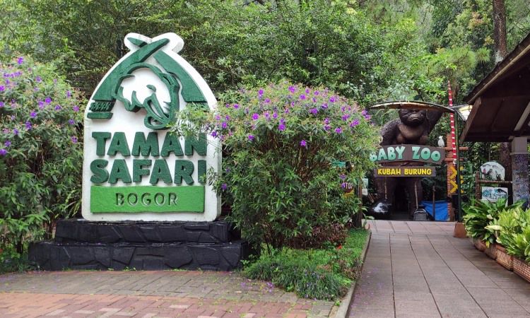 Taman Safari Bogor Lagi Ada Promo Diskon Nih Jelang Hari Pahlawan, Cari Tahu Info Lengkapnya Disini