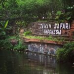 Weekend Mau Kemana? Ke Taman Safari Bogor Aja, Banyak Paket Wisata Menarik dan Pemandangannya Juga Asyik