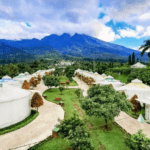 Rekomendasi Tempat Glamour Camping Bogor: Gabungkan Kemewahan dan Keindahan Alam