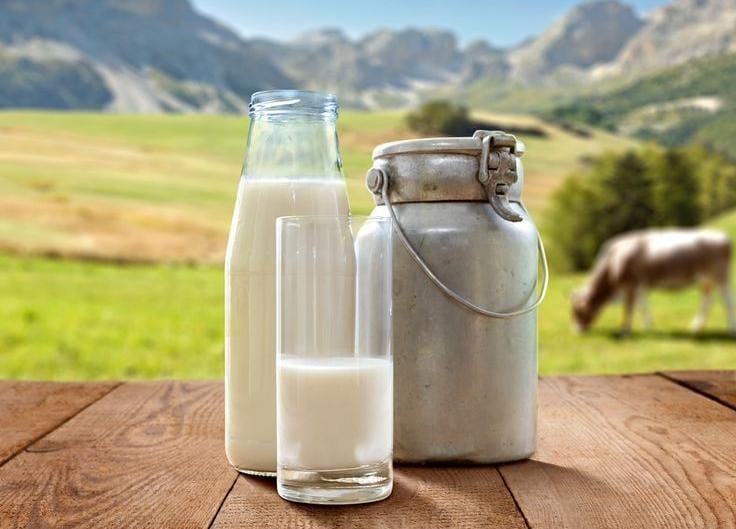 Alami Gatal Hingga Muntah Setelah Minum Susu? Mungkin Kamu Alergi Susu, Ini Penyebab Mengapa Kamu Mengalami Alergi