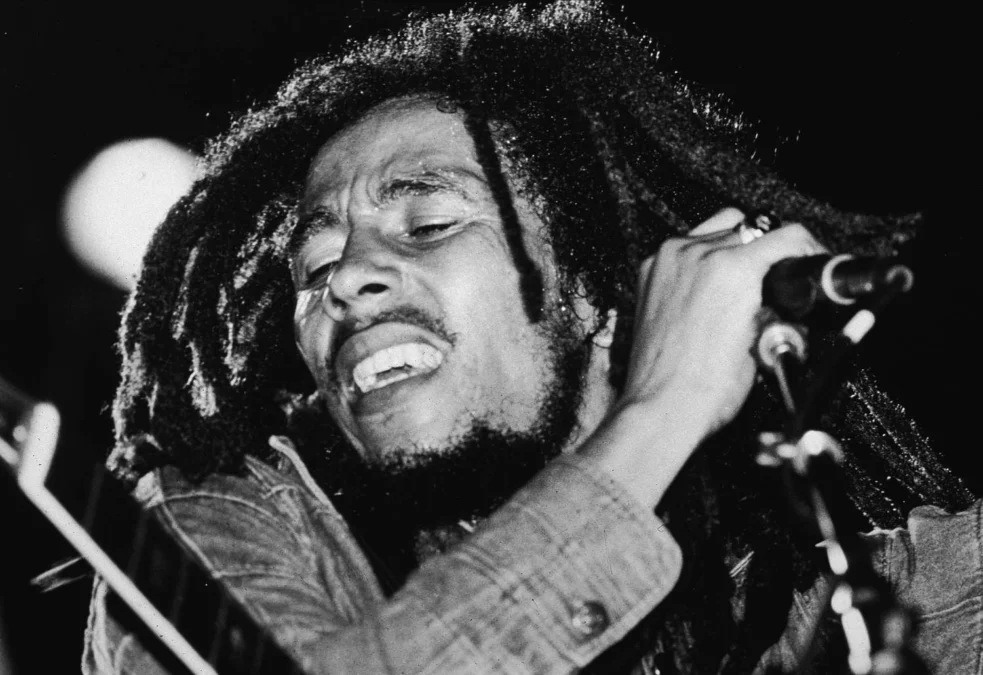Bob Marley/LiveAbout