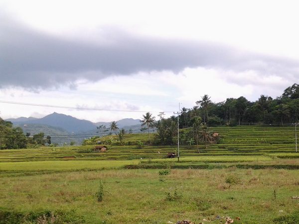 Desa Padasuka Sumedang/Sumedang Tandang
