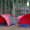 Cocok Buat Refreshing: Cidahu Camping Ground: Lokasi, Tiket, dan Spot Camping