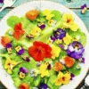 Rupa Edible Flowers, Jenis Bunga Percantik Hidangan dan Aman Dikonsumsi