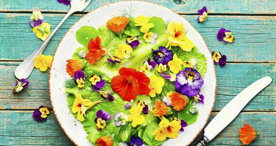 Rupa Edible Flowers, Jenis Bunga Percantik Hidangan dan Aman Dikonsumsi