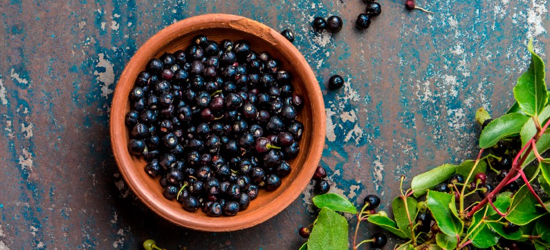 Maqui Berry Mengandung Antioksidan Antosianin yang Tinggi: 8 Manfaat Maqui Berry untuk Kesehatan, Digolongkan Superfood!