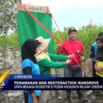 Penamanan Dan Restoraction Mangrove