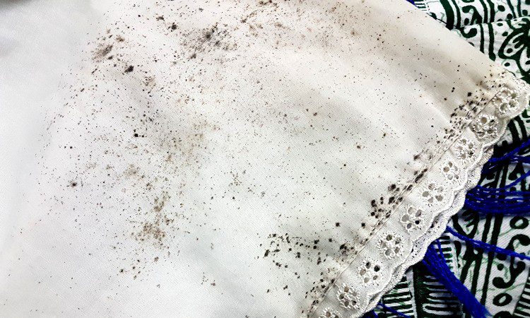 Cara Menghilangkan Jamur Pada Baju dengan Bahan yang Ada di Dapur, Solusi Murah Meriah untuk Bajumu yang Berjamur