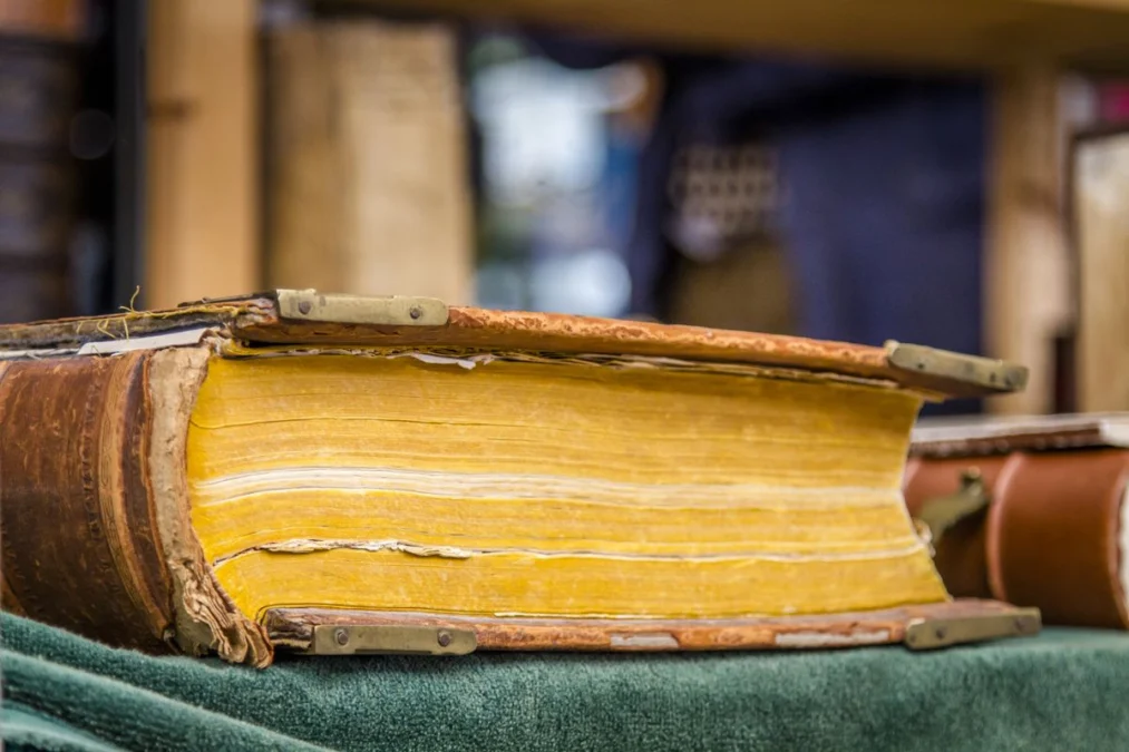 Punya Koleksi Buku yang Lama-lama Berubah Warna Jadi Kuning? Ternyata Ini Penyebab Buku Menguning