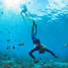 Diving Menjadi Aktivitas yang Seru Selain Berselancar: Rekomendasi Lokasi Diving Terbaik di Bali, Biota Lautnya Bikin Gak Fokus!