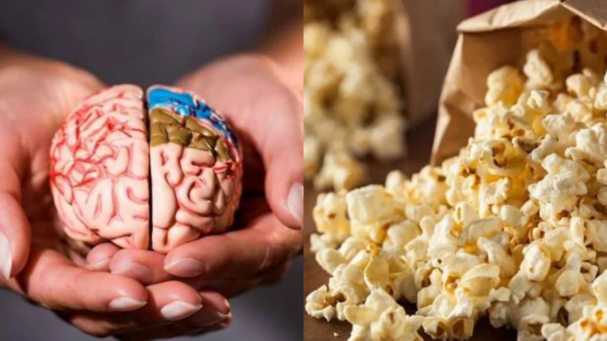 fenomena otak popcorn