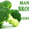 Manfaat Brokoli