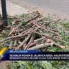 Sejumlah Pohon Di Jalan K.H Abdul Halim Ditebang