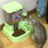 Wajib Punya! Ini Dia Rekomendasi Tempat Makan Kucing Otomatis yang Bagus